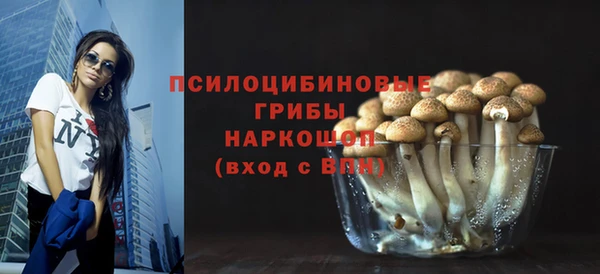 дмт Ладушкин