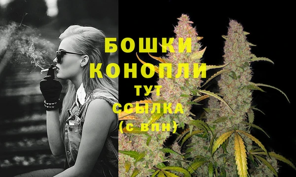 мяу мяу мука Лабытнанги