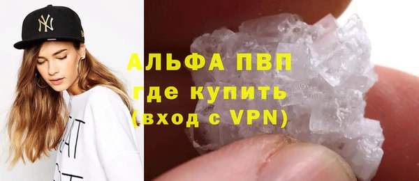 мяу мяу мука Лабытнанги