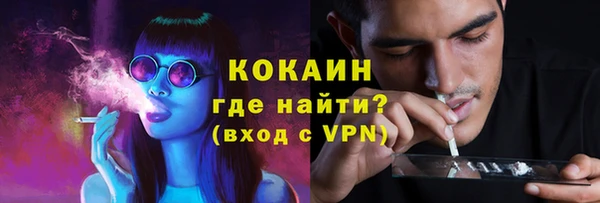 дмт Ладушкин
