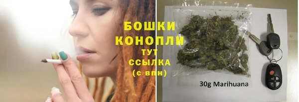 дмт Ладушкин