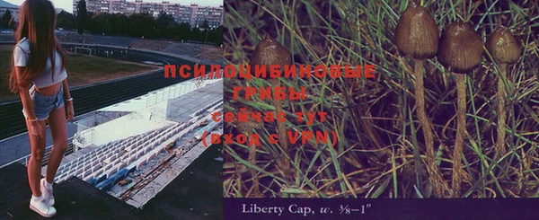 дмт Ладушкин