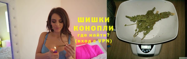 дмт Ладушкин