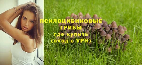 эйфоретик Липки
