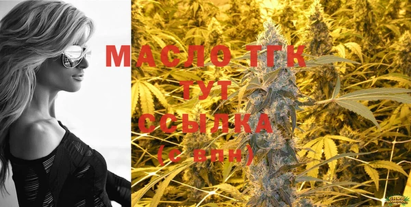 дмт Ладушкин