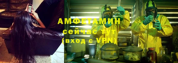 дмт Ладушкин